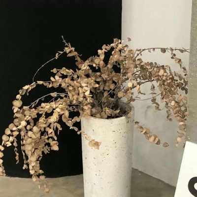 兽设配饰设计灵感福瑞交流群